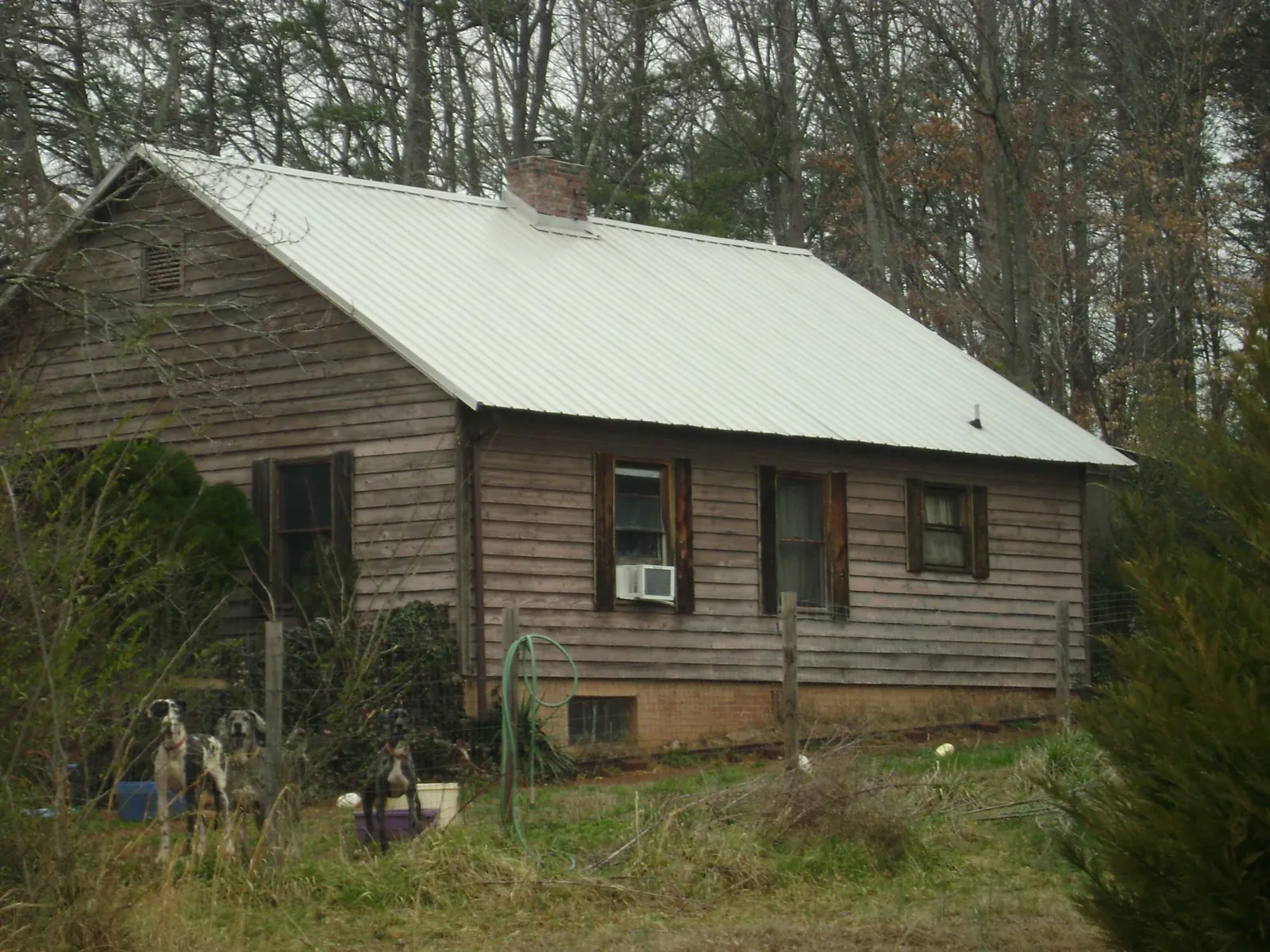 White metal roof on an old wood sided farmhouse, from a Metal Roof Installation job in Divide